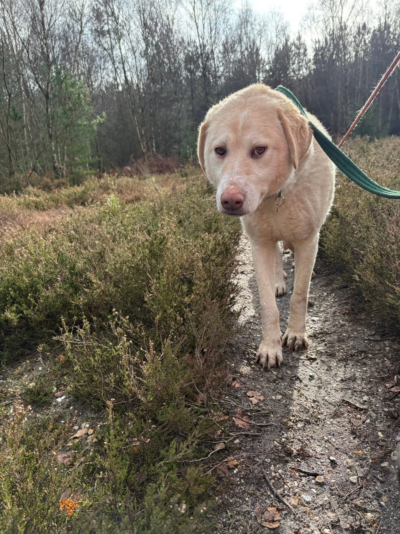 Ralph photo 2