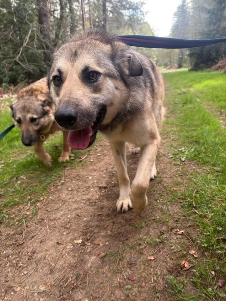 Molly photo 3