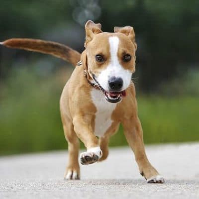 Baily photo 3