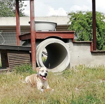 Vito photo 3