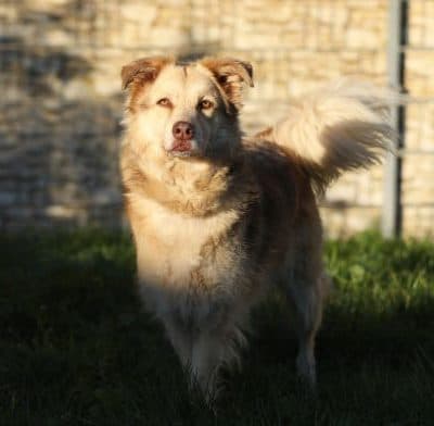 Maxi photo 2