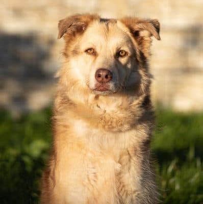 Maxi photo 4