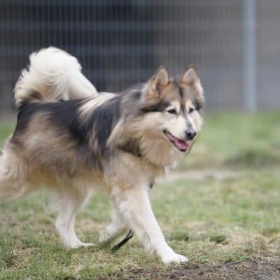 Timba photo 2