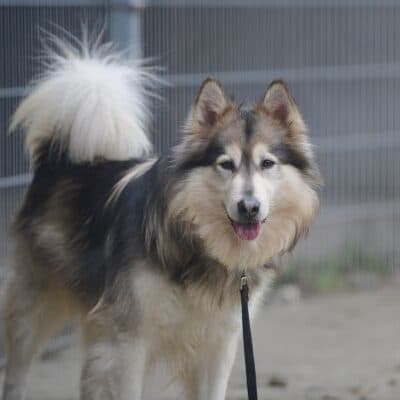 Timba photo 3