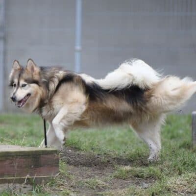 Timba photo 4