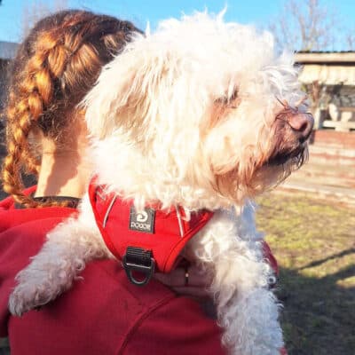 Toto photo 4