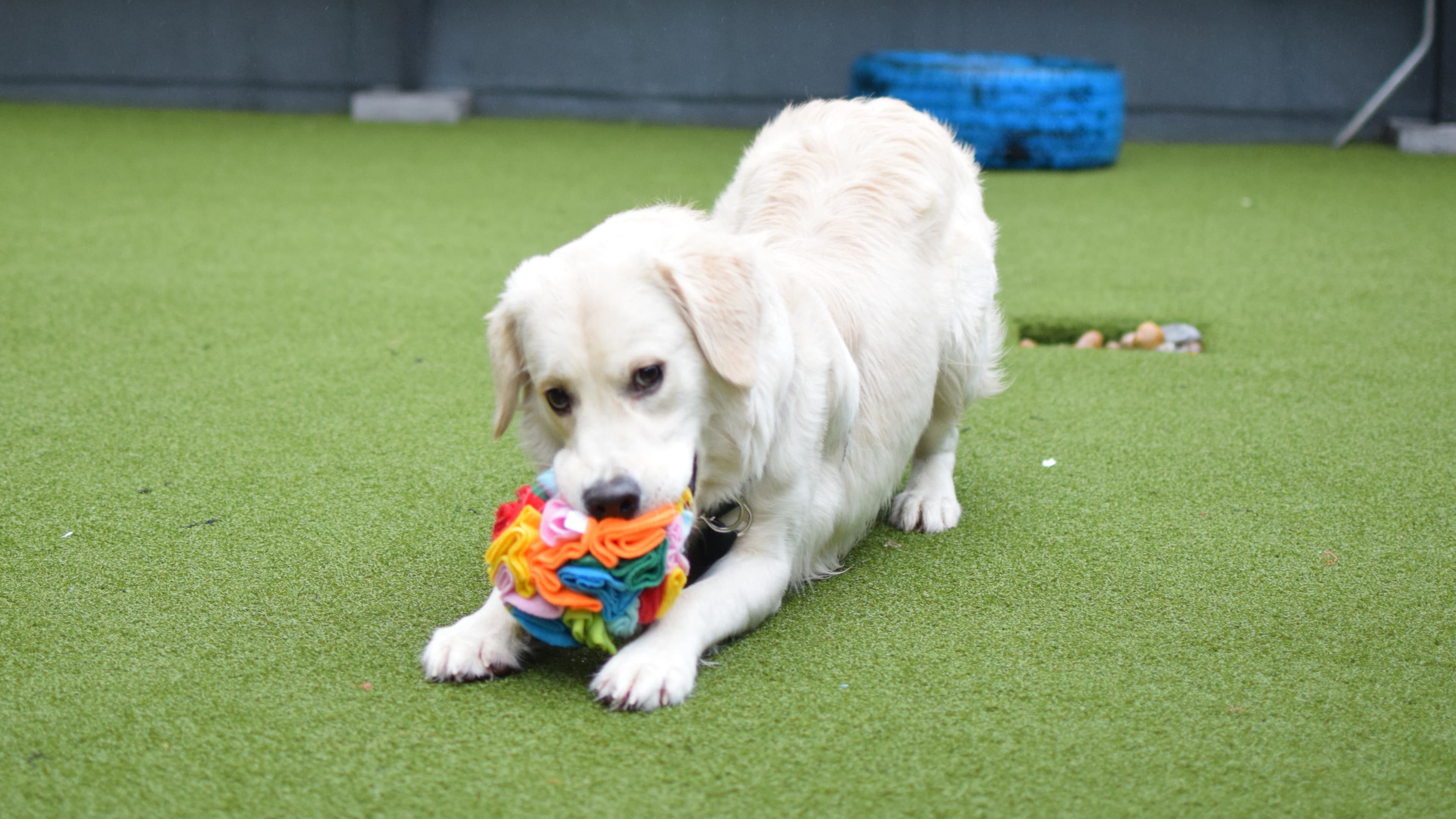 Casper photo 18