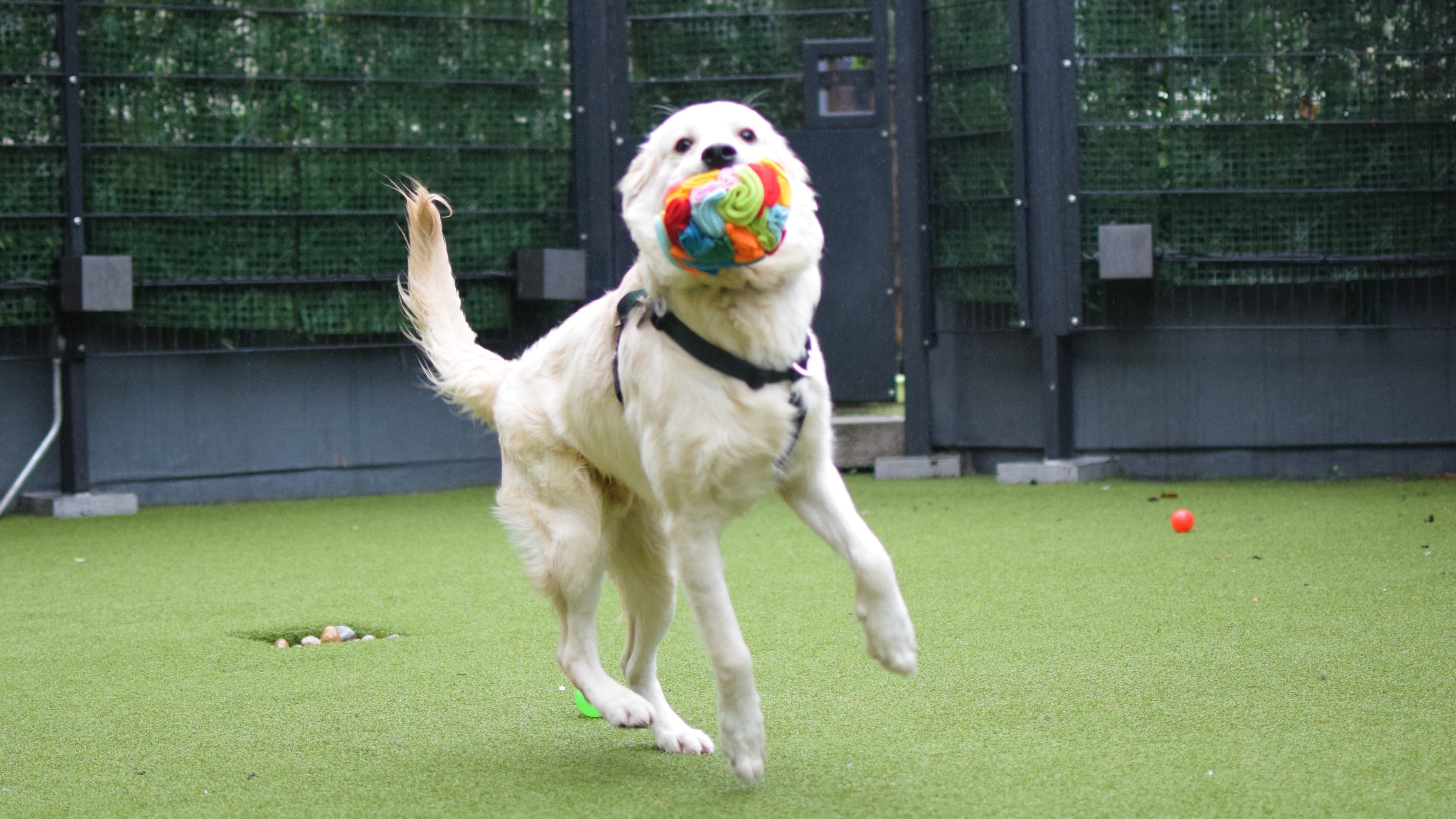Casper photo 16