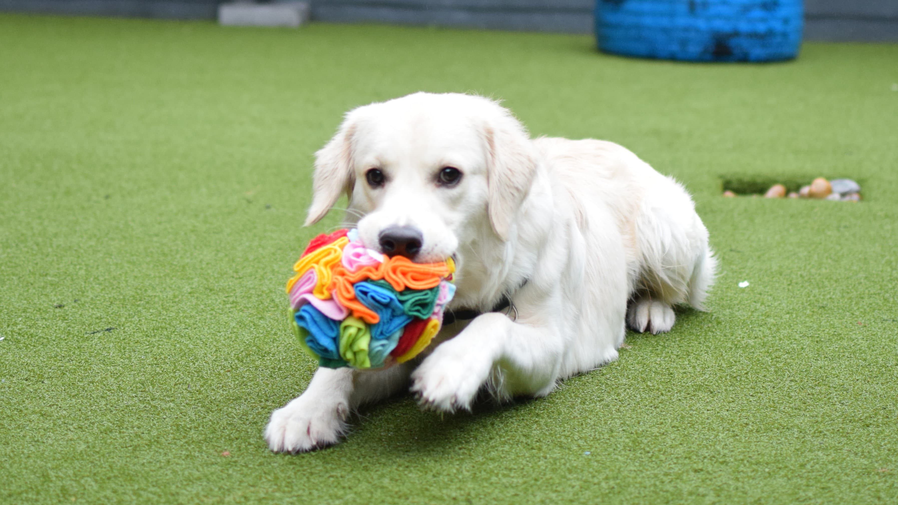 Casper photo 19