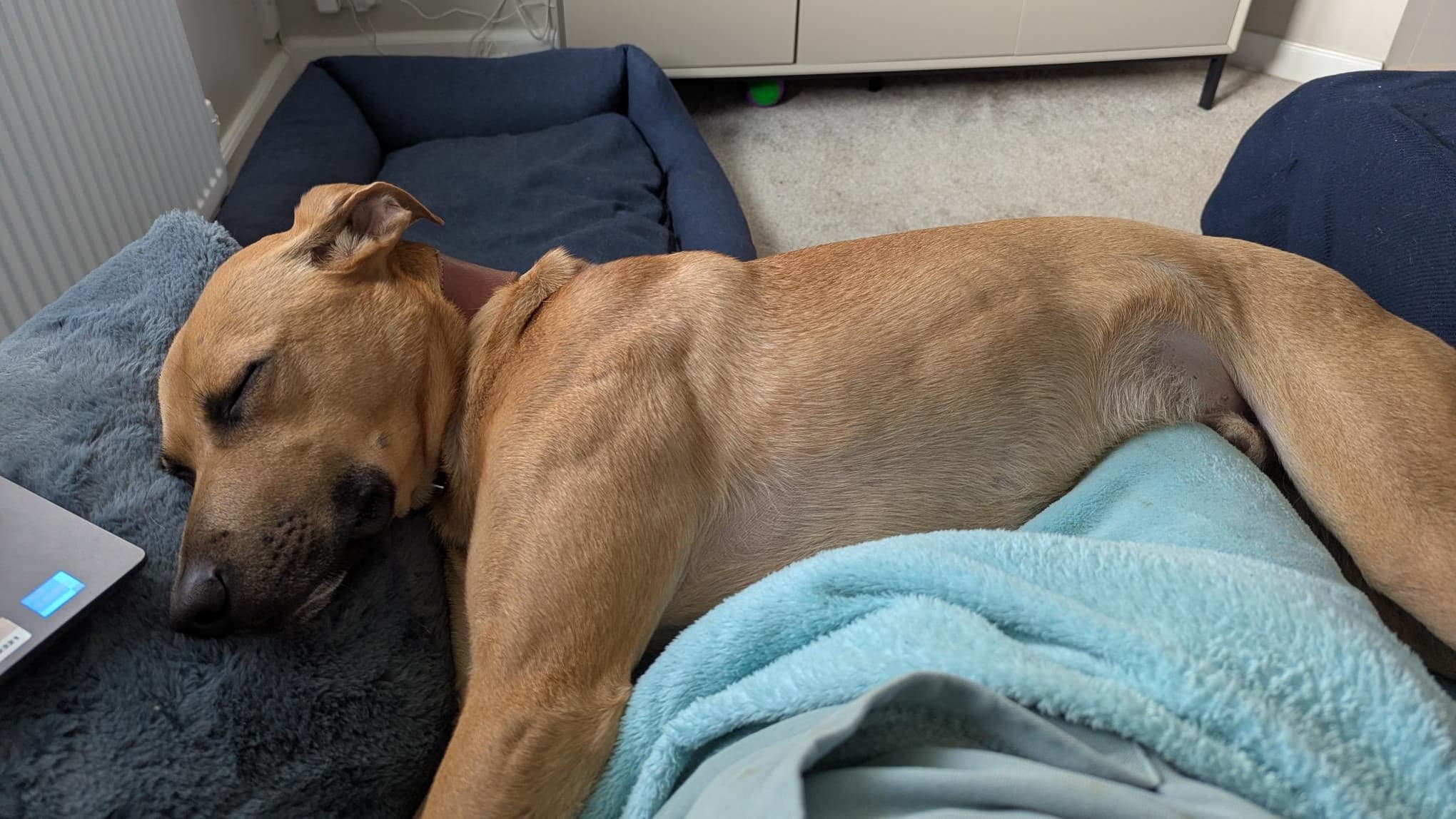 Billy photo 5