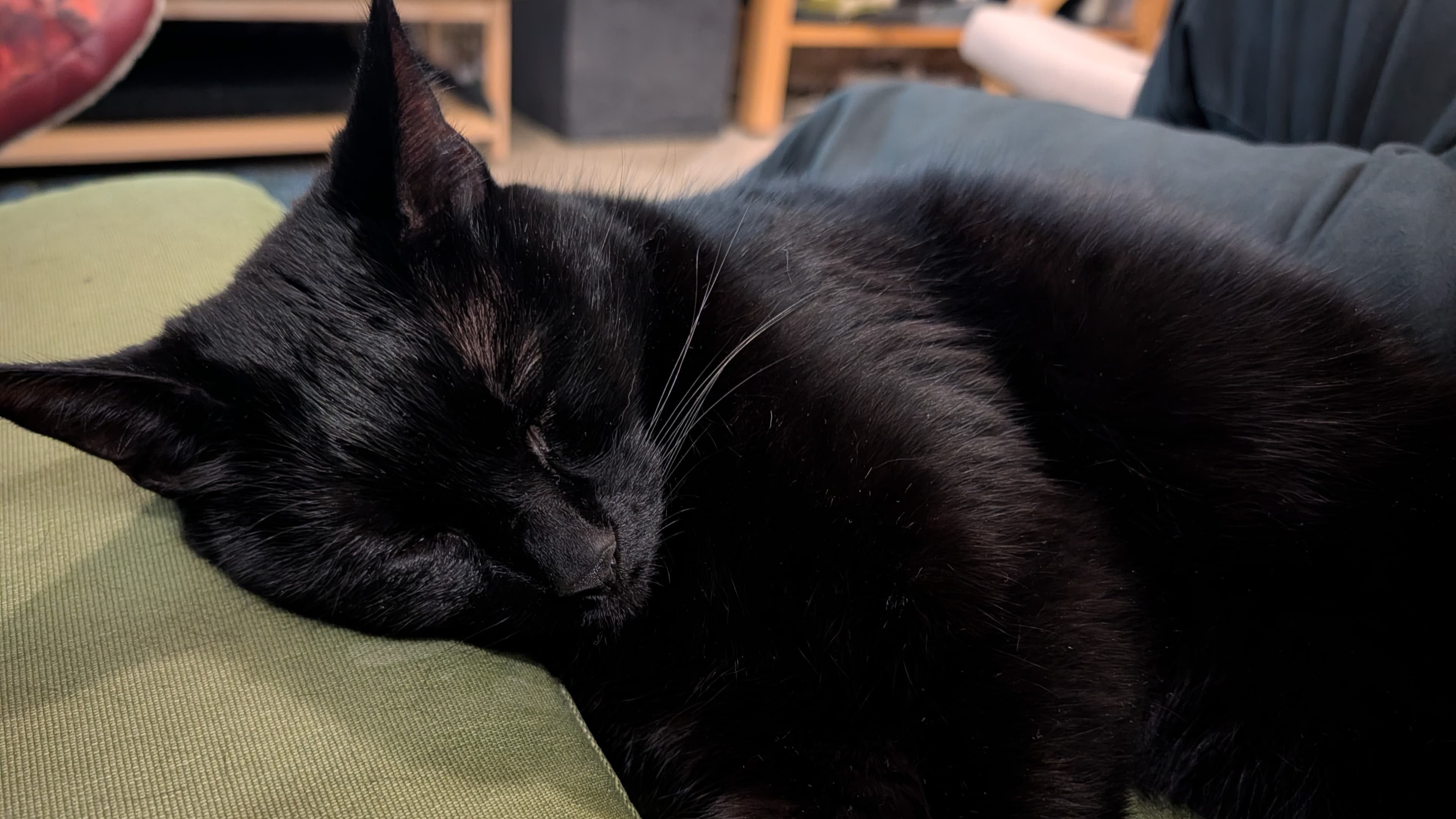 Nyx photo 11