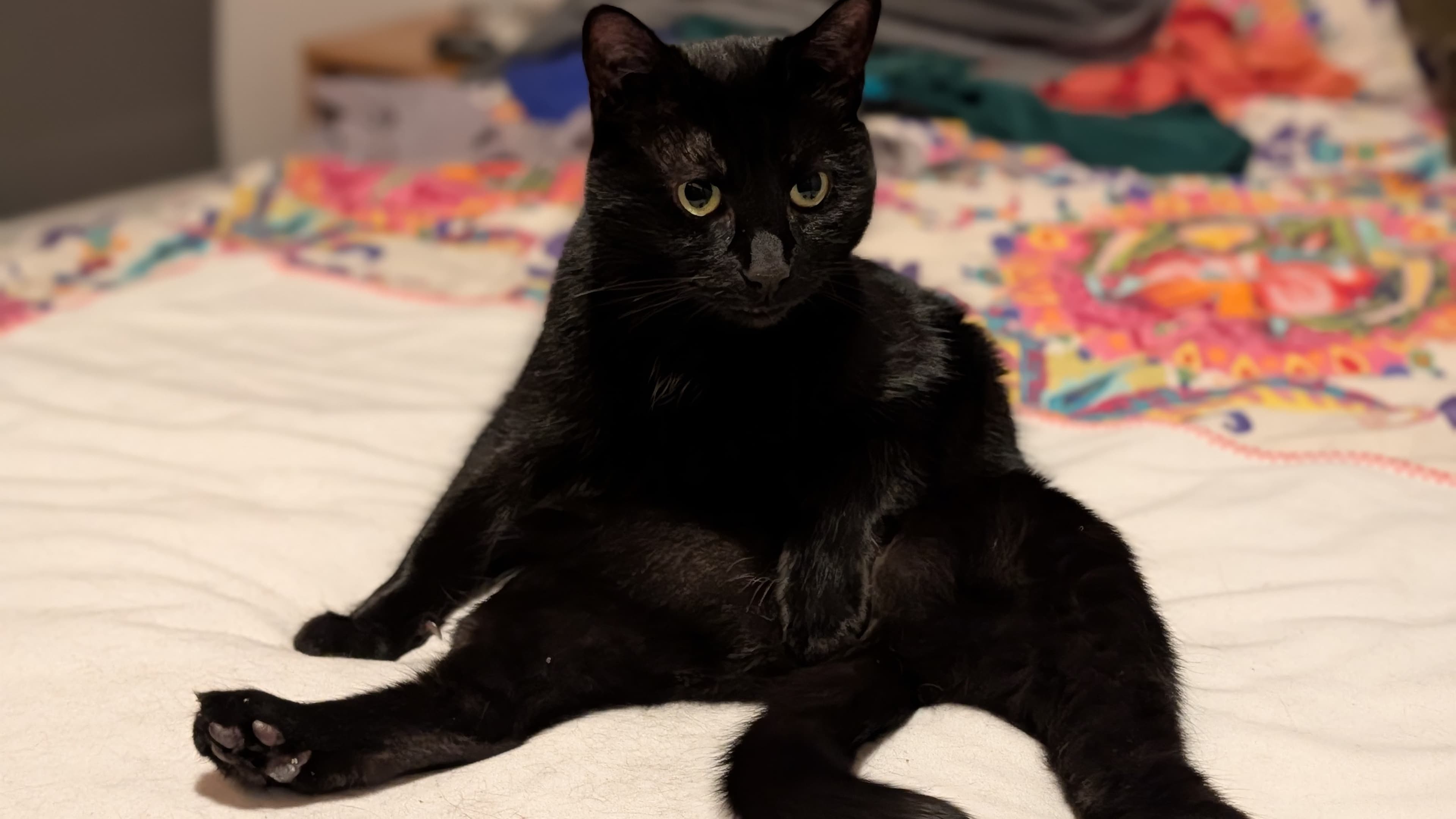Nyx photo 10