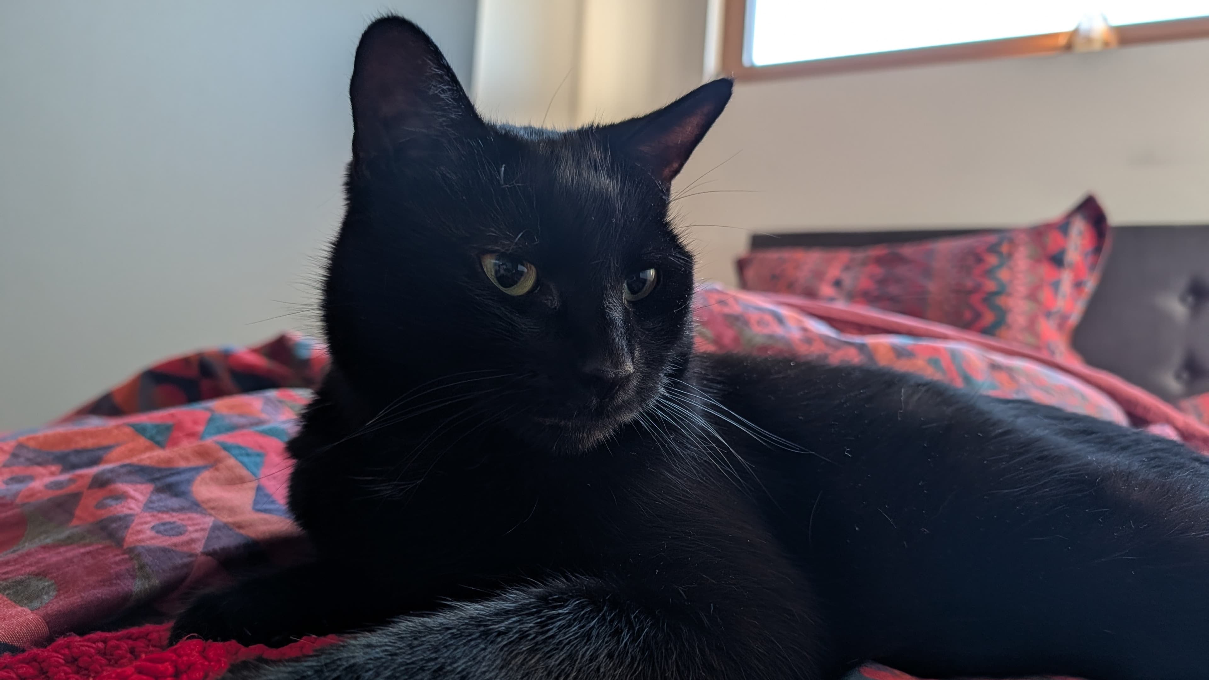 Nyx photo 2