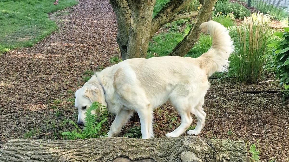 Casper photo 13