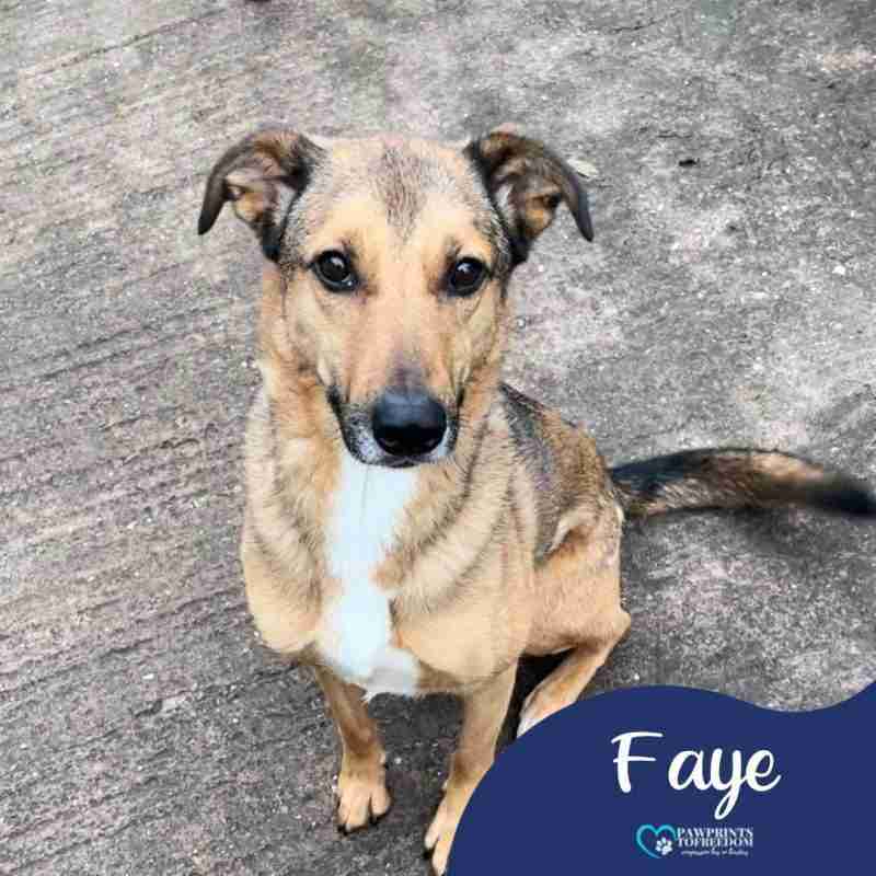 Faye photo 2