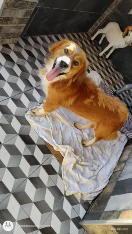 Sam photo 3