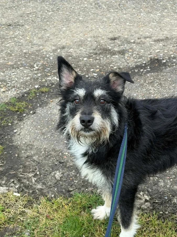Mabel photo 4