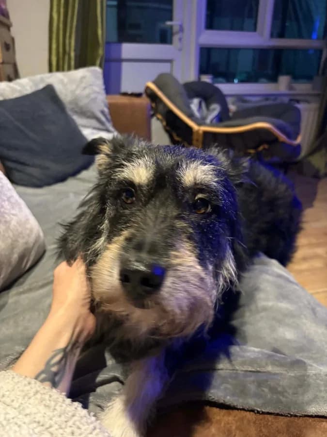 Mabel photo 3