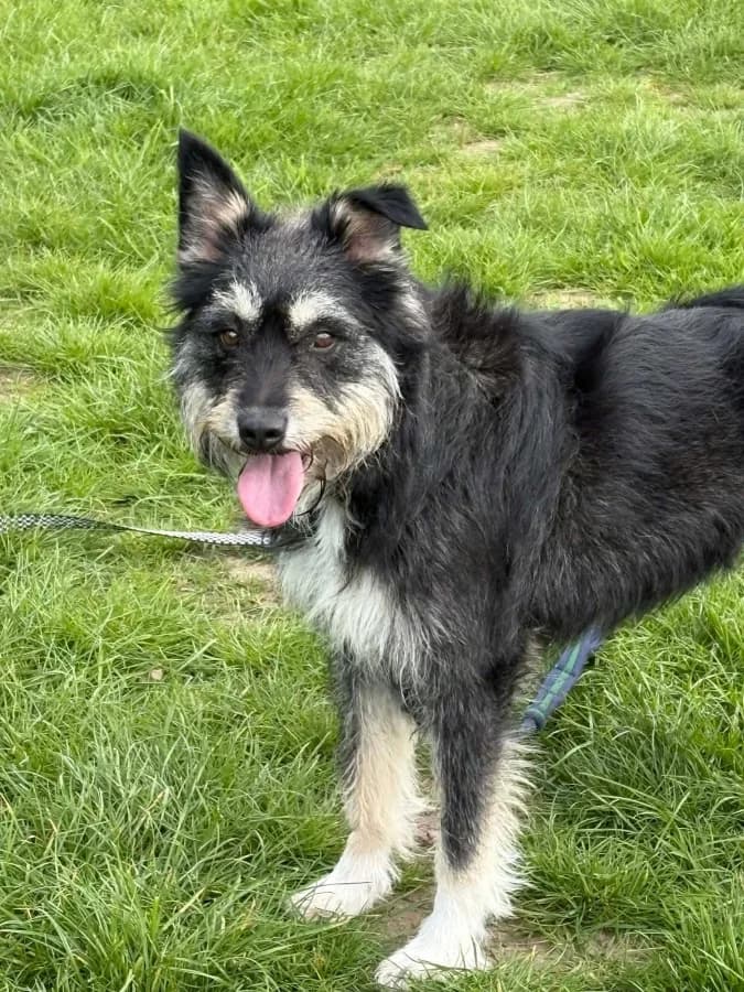Mabel photo 2