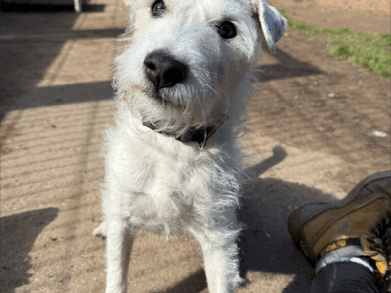 Eddie photo 3