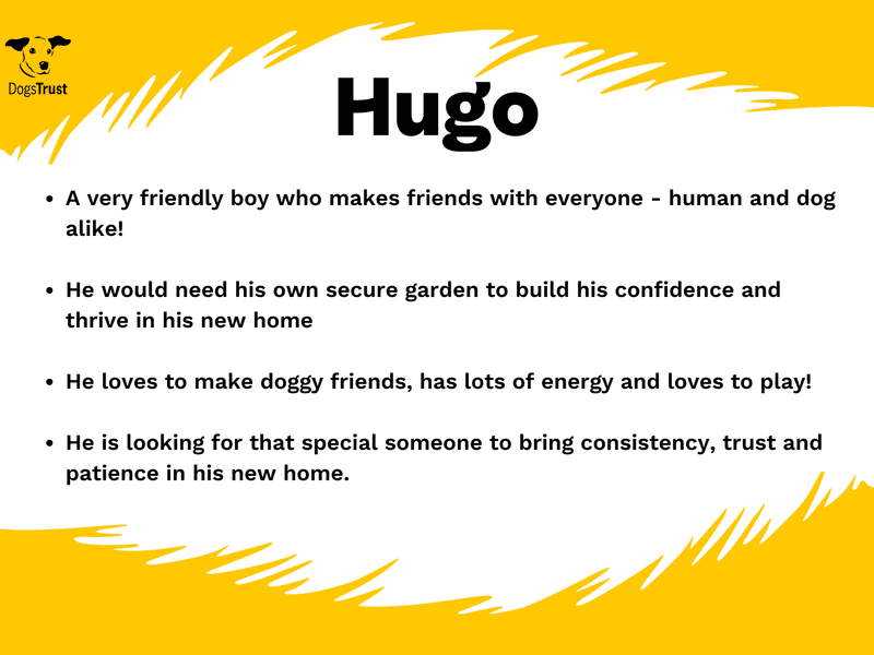 Hugo photo 3