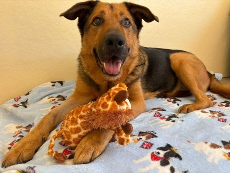 Maximilian photo 4
