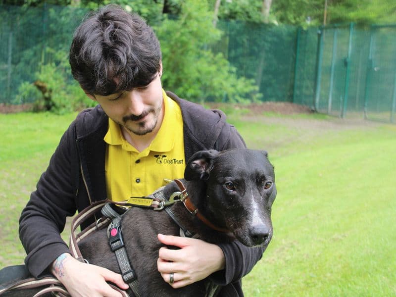 Angus photo 3