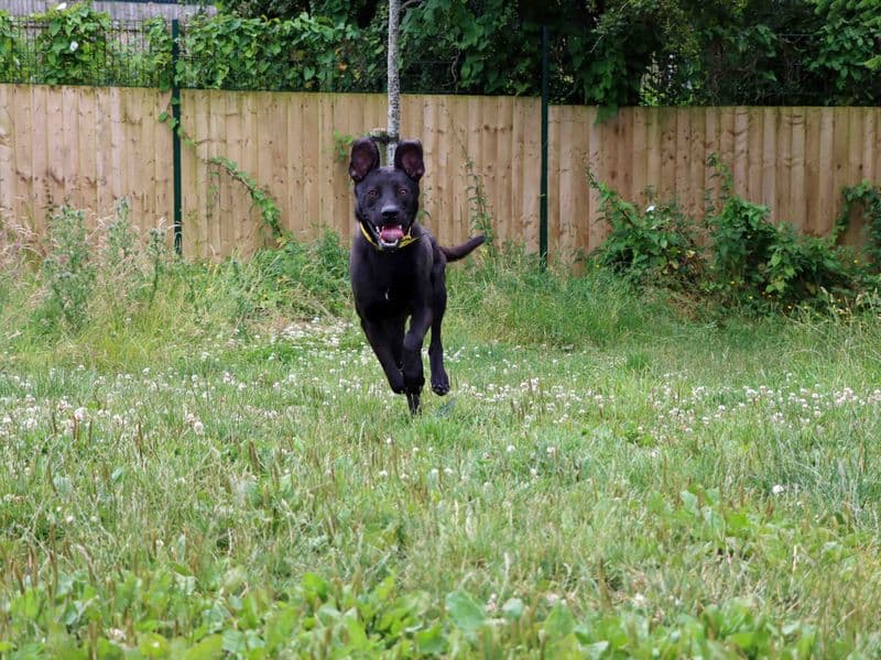 Levi photo 3