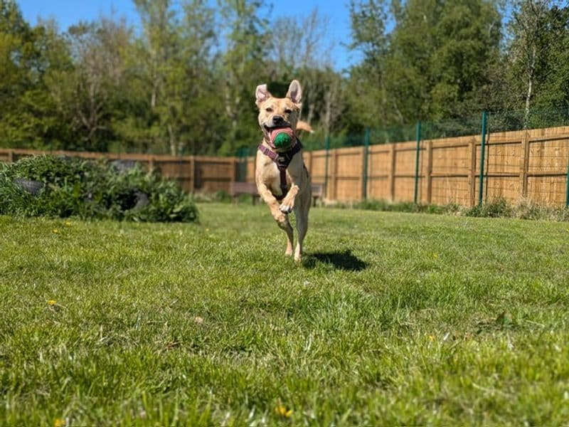 Annie photo 4