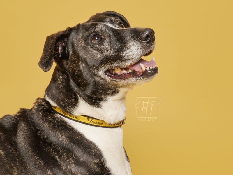 Betty photo 2