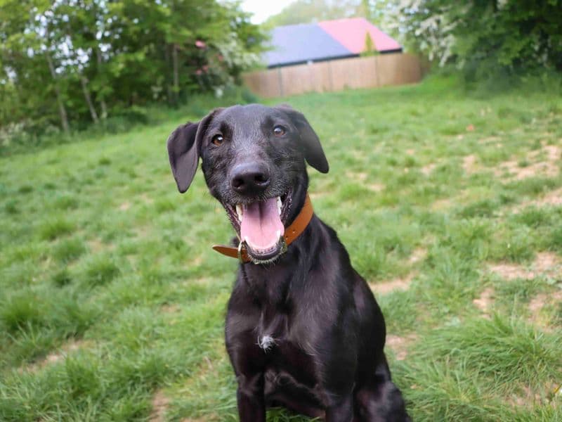 Kylo photo 3