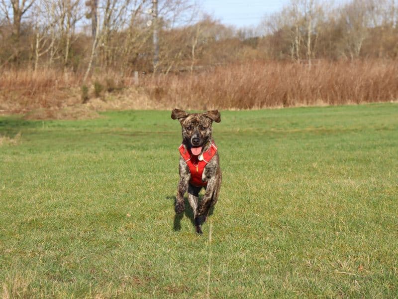 Brody photo 2