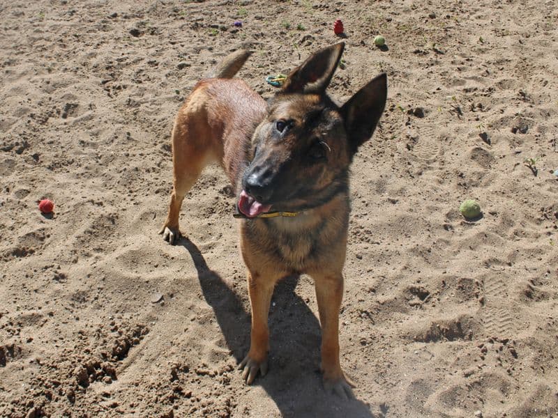 Walter photo 4