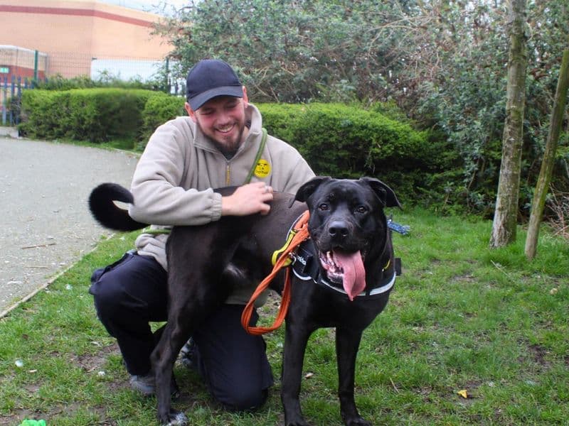 Rufus photo 2