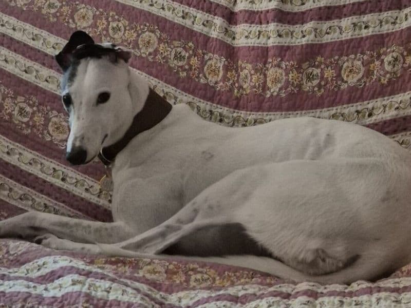 Ethel photo 3