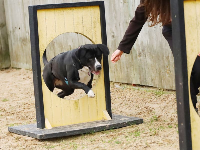 Penny photo 4