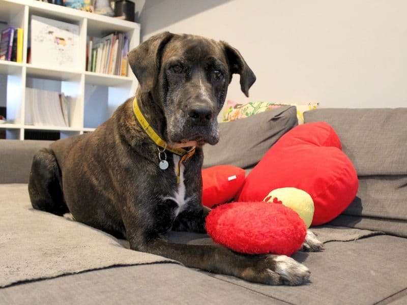 Max photo 4