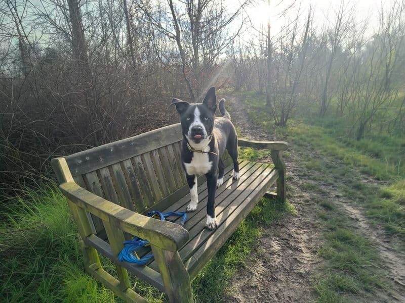 Flynn photo 3