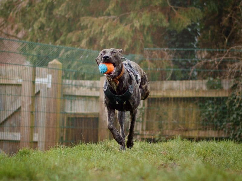 Zack photo 3