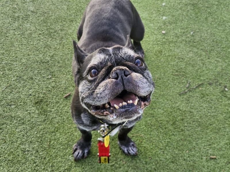 Coco photo 2