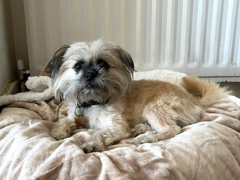Margot photo 4