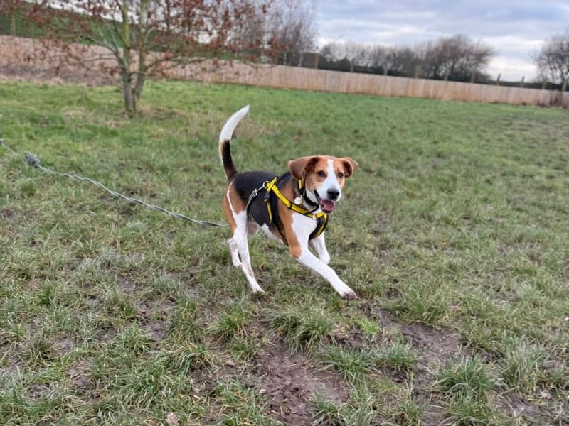 Fred photo 3