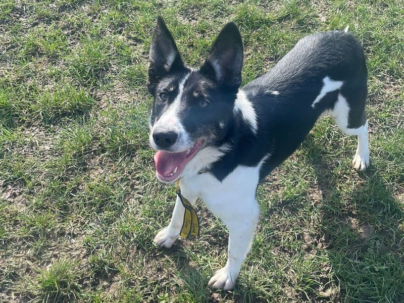 Gina photo 3