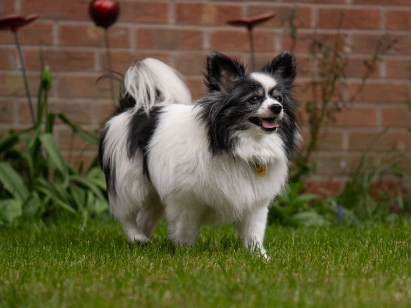 Evie photo 3