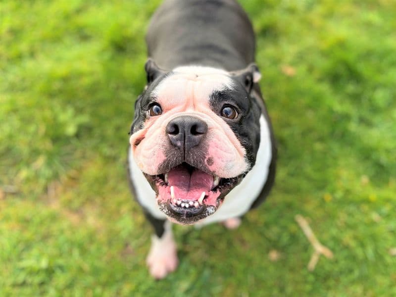 Lola photo 2