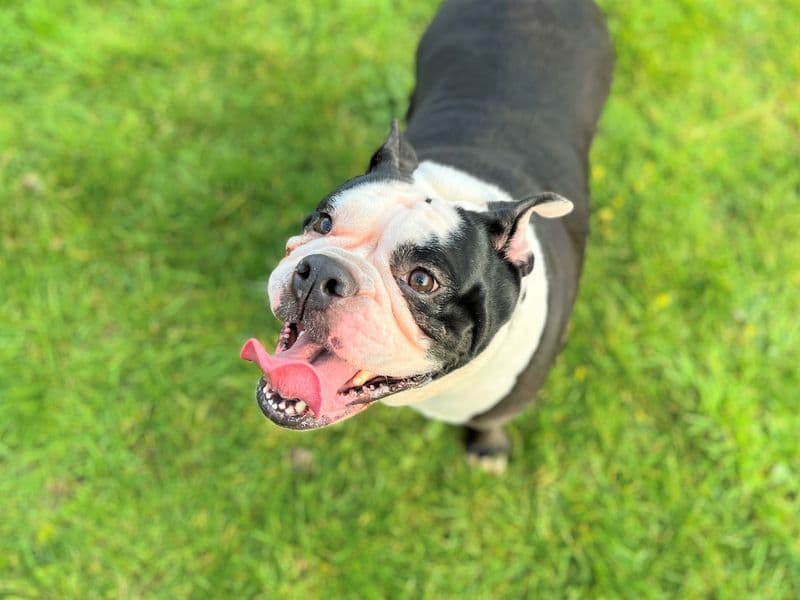 Lola photo 3