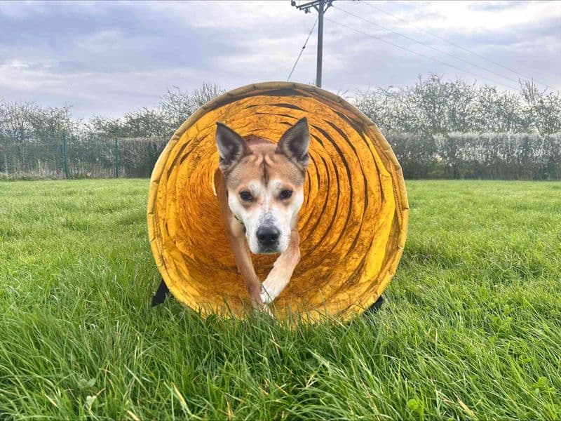 Sandy photo 3