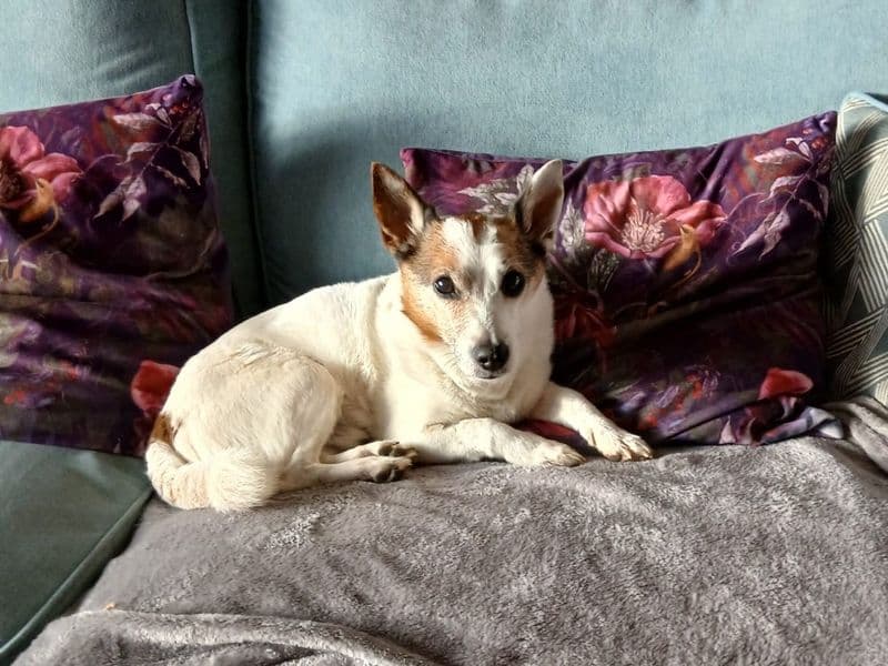 Ben photo 2