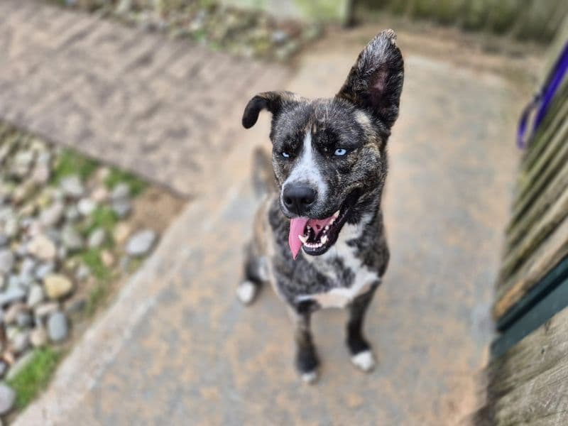 Maya photo 4