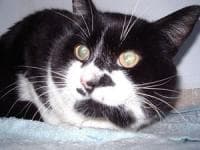 Buster — Unknown